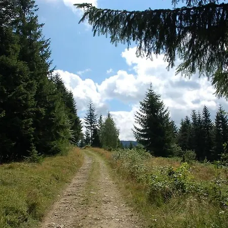 Chata Trapera Na Groniu Koszarawa