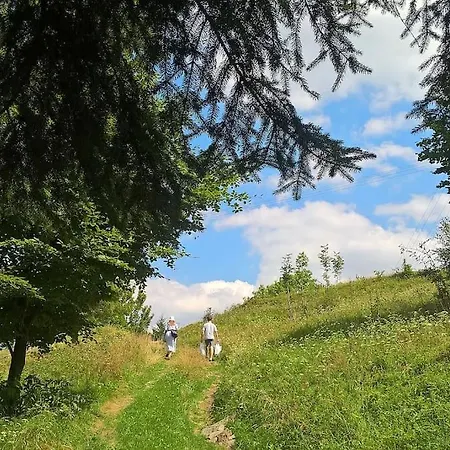 Chata Trapera Na Groniu Koszarawa