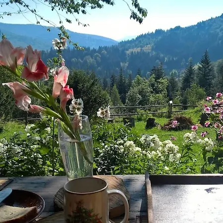 Chata Trapera Na Groniu *