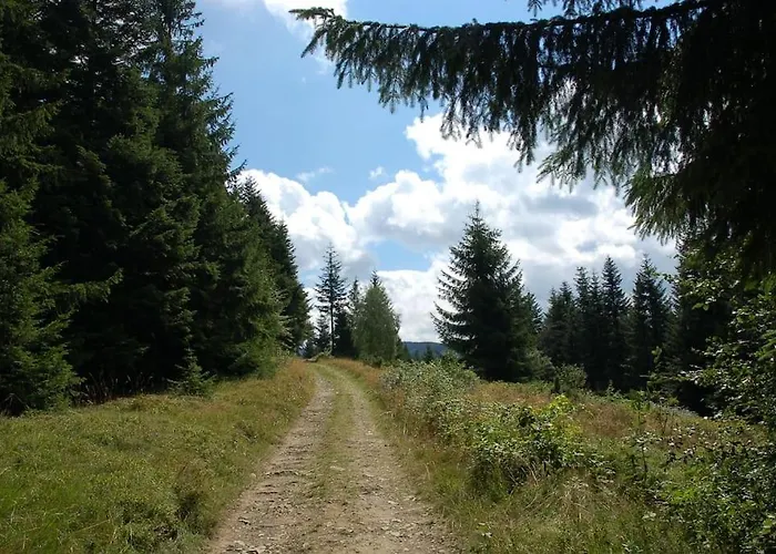 Chata Trapera Na Groniu Koszarawa