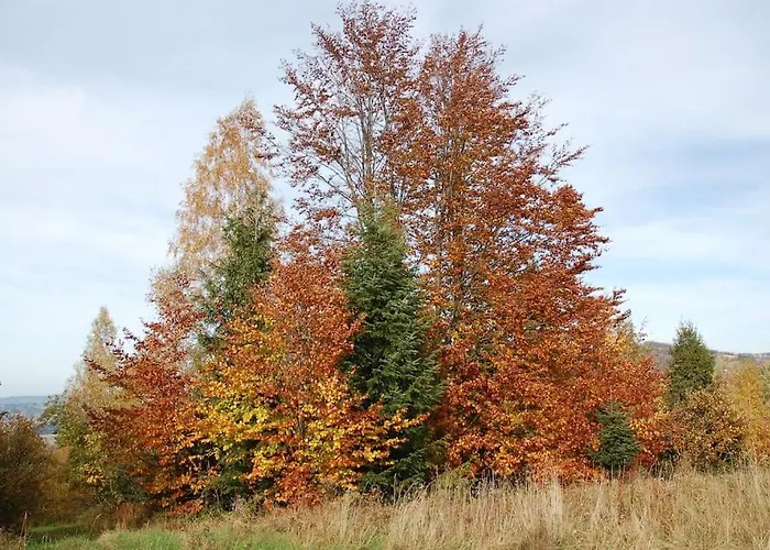 Chata Trapera Na Groniu * Koszarawa