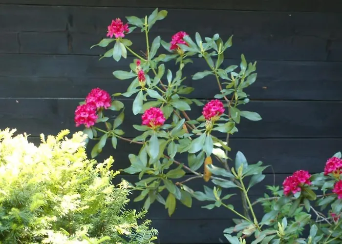 Σαλέ Chata Trapera Na Groniu